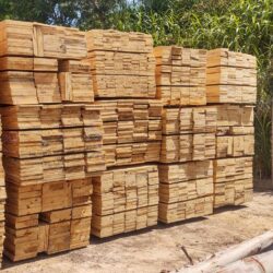 TÁBUA DE PINUS